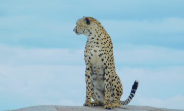 6-DAY SERENGETI FLY-IN SAFARI & NGORONGORO CRATER