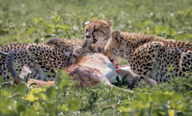ARUSHA NATIONAL PARK DAY TRIP