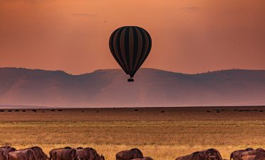 2-DAY FLY-IN SERENGETI & NGORONGORO SAFARI