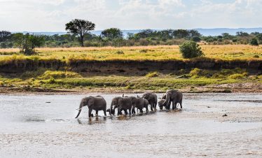 2-DAY LAKE MANYARA & NGORONGORO SAFARI
