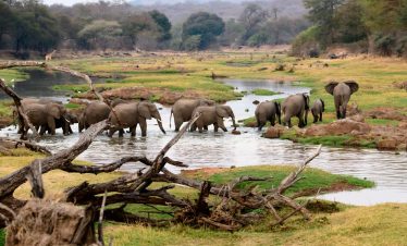 7-Day Budget Flying Safari Zanzibar to Ruaha Park